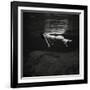 Weeki Wachee Spring-null-Framed Photographic Print