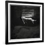 Gramercy Black