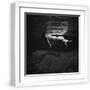 White Frame