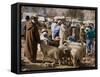 Weekly Market, Tahanoute, High Atlas Mountains, Morocco, North Africa, Africa-Ethel Davies-Framed Stretched Canvas