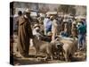 Weekly Market, Tahanoute, High Atlas Mountains, Morocco, North Africa, Africa-Ethel Davies-Stretched Canvas