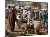 Weekly Market, Tahanoute, High Atlas Mountains, Morocco, North Africa, Africa-Ethel Davies-Mounted Photographic Print