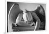 Weeping Angel 2-John Gusky-Framed Photographic Print