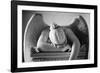 Weeping Angel 2-John Gusky-Framed Photographic Print