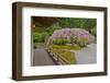 Weeping Cherry, Pavilion, Portland Japanese Garden, Portland, Oregon-Michel Hersen-Framed Photographic Print