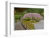 Weeping Cherry, Pavilion, Portland Japanese Garden, Portland, Oregon-Michel Hersen-Framed Photographic Print