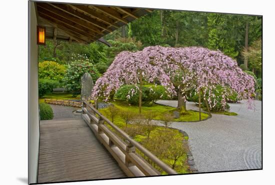 Weeping Cherry, Pavilion, Portland Japanese Garden, Portland, Oregon-Michel Hersen-Mounted Photographic Print