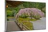 Weeping Cherry, Pavilion, Portland Japanese Garden, Portland, Oregon-Michel Hersen-Mounted Photographic Print