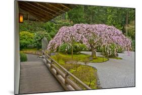 Weeping Cherry, Pavilion, Portland Japanese Garden, Portland, Oregon-Michel Hersen-Mounted Photographic Print