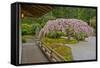 Weeping Cherry, Pavilion, Portland Japanese Garden, Portland, Oregon-Michel Hersen-Framed Stretched Canvas