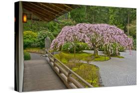 Weeping Cherry, Pavilion, Portland Japanese Garden, Portland, Oregon-Michel Hersen-Stretched Canvas