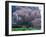 Weeping Cherry Tree-null-Framed Photographic Print