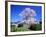 Weeping Cherry Tree-null-Framed Photographic Print