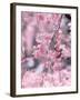 Weeping Cherry Tree-null-Framed Photographic Print