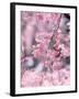 Weeping Cherry Tree-null-Framed Photographic Print