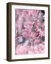 Weeping Cherry Tree-null-Framed Photographic Print