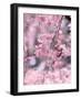 Weeping Cherry Tree-null-Framed Photographic Print