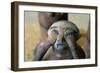 Weeping Statue in Mourning, Valley of Golden Mummies, Giza, Egypt, Detail-null-Framed Giclee Print