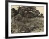 Weeping Tree, 1889-Vincent van Gogh-Framed Giclee Print