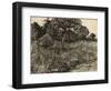 Weeping Tree, 1889-Vincent van Gogh-Framed Premium Giclee Print