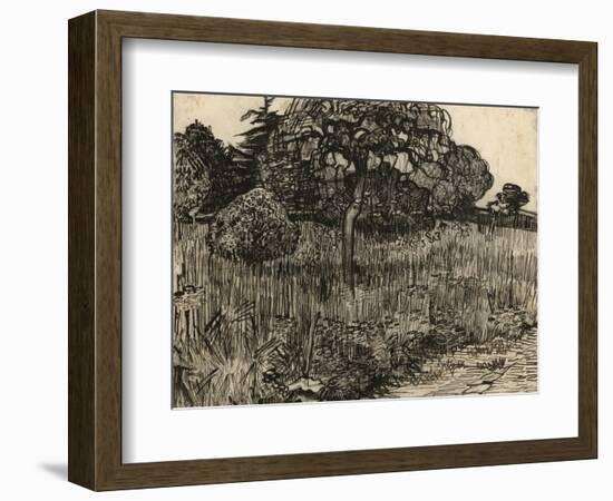 Weeping Tree, 1889-Vincent van Gogh-Framed Giclee Print