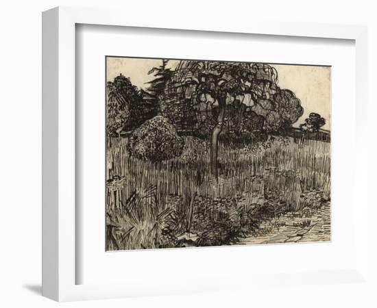 Weeping Tree, 1889-Vincent van Gogh-Framed Giclee Print