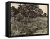 Weeping Tree, 1889-Vincent van Gogh-Framed Stretched Canvas