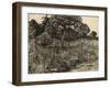 Weeping Tree, 1889-Vincent van Gogh-Framed Giclee Print