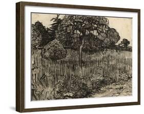 Weeping Tree, 1889-Vincent van Gogh-Framed Giclee Print