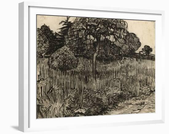 Weeping Tree, 1889-Vincent van Gogh-Framed Giclee Print