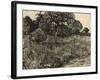 Weeping Tree, 1889-Vincent van Gogh-Framed Giclee Print