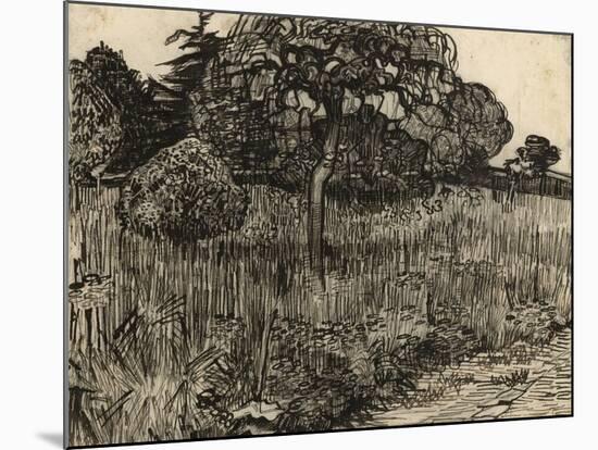 Weeping Tree, 1889-Vincent van Gogh-Mounted Giclee Print