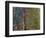 Weeping Willow, 1918-19-Claude Monet-Framed Giclee Print