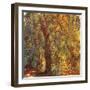 Weeping Willow, 1919-Claude Monet-Framed Giclee Print