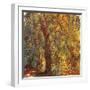 Weeping Willow, 1919-Claude Monet-Framed Giclee Print