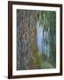 Weeping Willow and the Waterlily Pond, 1916-19 (Detail)-Claude Monet-Framed Giclee Print