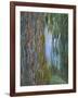 Weeping Willow and the Waterlily Pond, 1916-19 (Detail)-Claude Monet-Framed Giclee Print