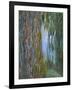 Weeping Willow and the Waterlily Pond, 1916-19 (Detail)-Claude Monet-Framed Giclee Print