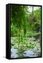 Weeping Willow and Waterlilies, Monet's Garden, Giverny, Normandy, France, Europe-James Strachan-Framed Stretched Canvas