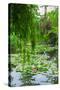 Weeping Willow and Waterlilies, Monet's Garden, Giverny, Normandy, France, Europe-James Strachan-Stretched Canvas