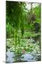 Weeping Willow and Waterlilies, Monet's Garden, Giverny, Normandy, France, Europe-James Strachan-Mounted Photographic Print