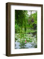 Weeping Willow and Waterlilies, Monet's Garden, Giverny, Normandy, France, Europe-James Strachan-Framed Photographic Print