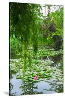 Weeping Willow and Waterlilies, Monet's Garden, Giverny, Normandy, France, Europe-James Strachan-Stretched Canvas