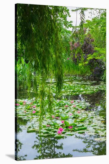 Weeping Willow and Waterlilies, Monet's Garden, Giverny, Normandy, France, Europe-James Strachan-Stretched Canvas