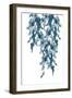 Weeping Willow Baltic Sea 1-Urban Epiphany-Framed Art Print