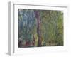 Weeping Willow, C. 1919-Claude Monet-Framed Giclee Print