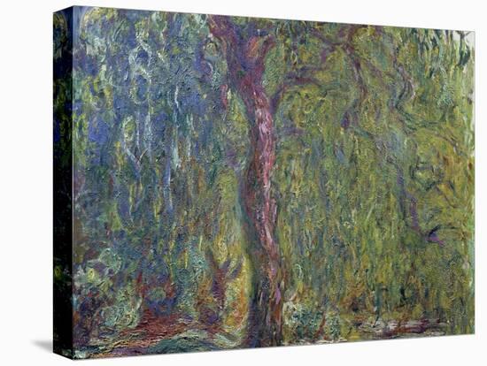 Weeping Willow, C. 1919-Claude Monet-Stretched Canvas