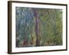 Weeping Willow, C. 1919-Claude Monet-Framed Giclee Print