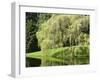 Weeping Willow, Japanese Gardens, Bloedel Reserve, Bainbridge Island, Washington, USA-Trish Drury-Framed Premium Photographic Print