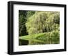 Weeping Willow, Japanese Gardens, Bloedel Reserve, Bainbridge Island, Washington, USA-Trish Drury-Framed Photographic Print